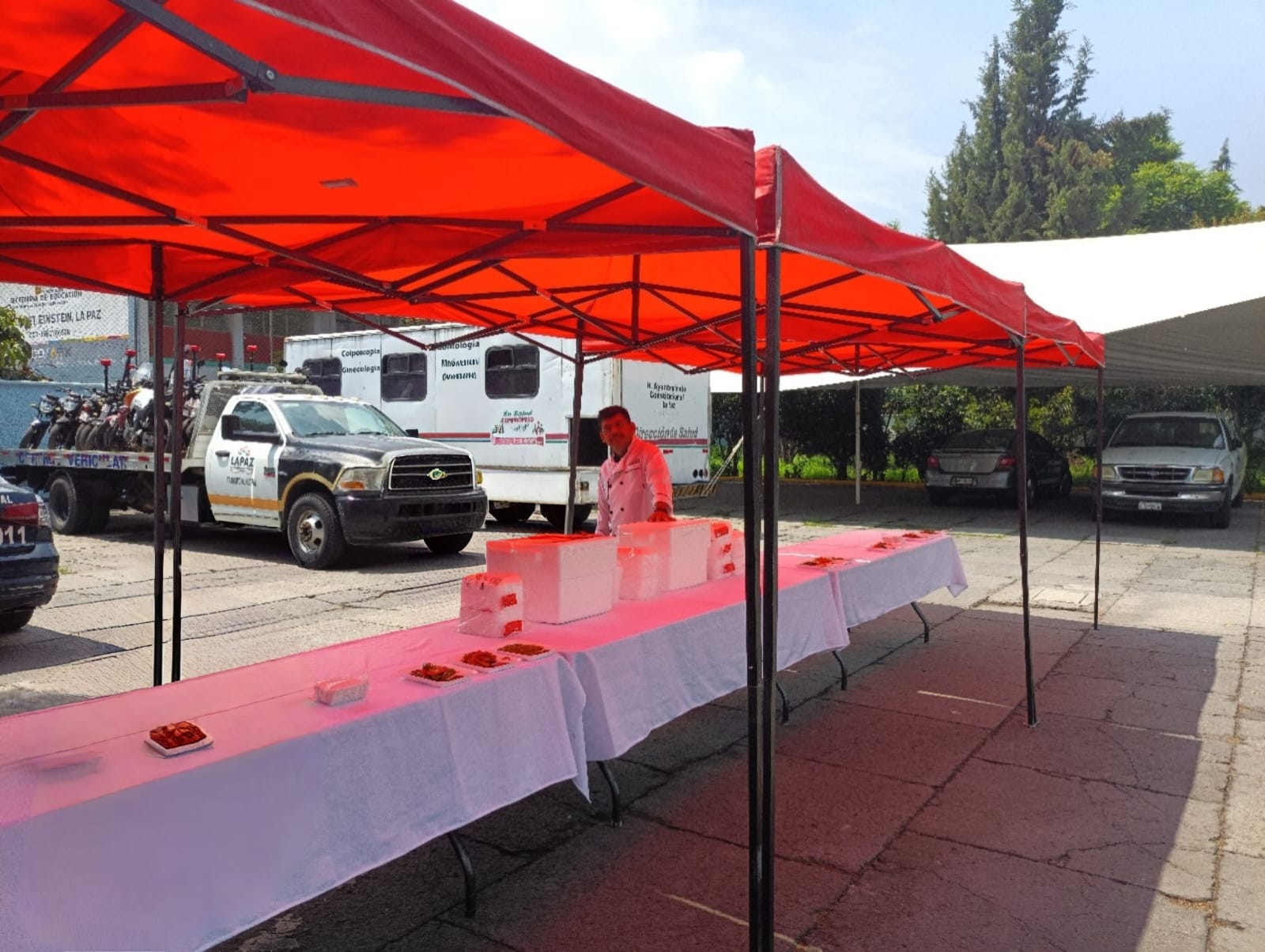 Nuestro equipo trabajando